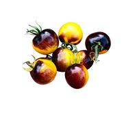 Pomodoro Antho Giallo 10 semi (Antho Gelb)