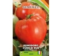 Pomodoro Cuor di Bue - Semi di Pomodoro da Insalata con Frutti Grandi e Carnosi, Dolce e Succoso, Facile da Coltivare in Giardino o Orto, Bustina di Semi per Pianta Annuale al Sole 2 Confezioni