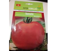 Pomodoro Grande Marglobe Semi 1.200 Circa Lycopersicon Esculentum