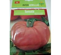 Pomodoro Grande Marmande Semi 1.200 Circa Lycopersicon Esculentum
