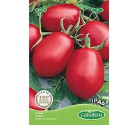 Pomodoro IPA6