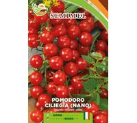 Pomodoro Nano Ciliegia - Frutti Sodi e Gustosi, Pianta Vigorosa da Campo e Serra2 confezioni