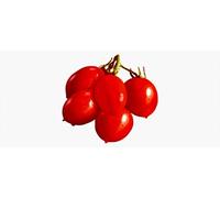 Pomodoro Pizzutello, Piccolo, Salsa Dolce, Campania, Semi Originali Seeds Seeds ONLY