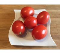 Pomodoro Roma 10 semi