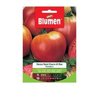 Pomodoro S.Semi Cuore di Bue