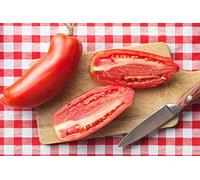 Pomodoro"Scatolone 2" - varieta a forma di peperone ideale per concentrati e pure - semi