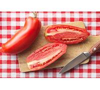 Pomodoro"Scatolone 2" - varieta a forma di peperone ideale per concentrati e pure - semi Seeds ONLY