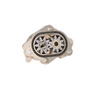 Pompa a ingranaggi, pompa di iniezione common rail BOSCH 0 440 020 087