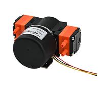 Pompa a membrana KLLP1000 BLDC 12V/24V lunga durata 6000H for analisi di laboratorio, strumenti medici e settore del riempimento(Kllp1000-e-b-b24)