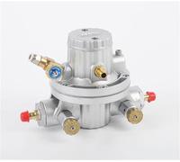 Pompa a membrana pneumatica BML-5 monodirezionale for inchiostro ad alta efficienza, Sistema di controllo del processo(Rubber film)