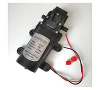 Pompa a membrana pneumatica Mini pompa acqua elettrica ad alta pressione Dc 12v 24v 4L/min, pompa acqua a membrana autoadescante 45W(Return valve type,DC12)