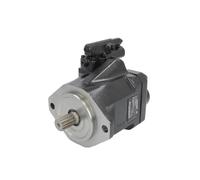 Pompa a pistone idraulica BOSCH R902534660