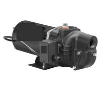 Pompa a tto del pozzo SWS75 Voluta durevole in ghisa da 0,75 con porta di adescamento dedicata for il riempimento a voluta A Tenuta Stagna