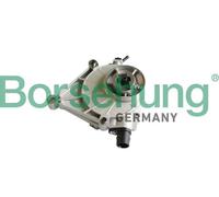 Pompa a vuoto B12221 Borsehung per BMW 5 1 5 Touring Z4 Roadster X1 X3 3 4 Coupé