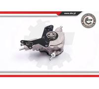 Pompa a vuoto meccanico 18SKV016 ESEN SKV per AUDI VW SKODA SEAT FORD