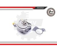Pompa a vuoto meccanico 18SKV018 ESEN SKV per VW MULTIVAN T5 TOUAREG