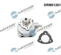 Pompa a vuoto meccanico Pompa rotativa a palette DRM01261 Dr.Motor Automotive