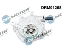 Pompa a vuoto meccanico Pompa rotativa a palette DRM01268 Dr.Motor Automotive