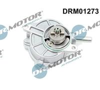 Pompa a vuoto meccanico Pompa rotativa a palette DRM01273 Dr.Motor Automotive