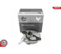 ESEN SKV 18SKV080 Pompa depressione, Sistema frenante