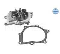 Pompa acqua 11-13 220 0021 MEYLE per CITROËN PEUGEOT LANCIA FORD LAND ROVER DS