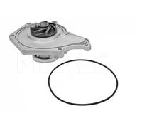 MEYLE 113 220 0017/HD Pompa acqua per