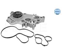 MEYLE Pompa dell’acqua, raffreddamento motore compatibile con AUDI SEAT SKODA