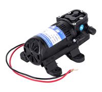 Pompa Acqua 12V 110V 220V Diaframma Tipo 70PSI 35L Min per Pulizia Auto