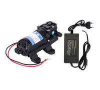 Pompa Acqua 12V 110V 220V Diaframma Tipo 70PSI 35L Min per Pulizia Auto