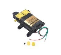 Pompa acqua 12V dual core ad alte prestazioni per attivit agricole all'aperto