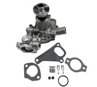 Pompa Acqua 13-509 13509 Compatibile Con Motori 482 486 TK486 TK486E SL100 SL200