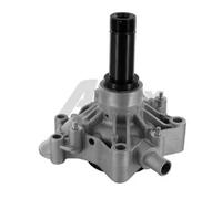 AIRTEX 1963 Pompa acqua