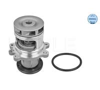 MEYLE 313 011 2900 Pompa acqua per