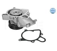 Pompa acqua 313 220 0006 MEYLE per BMW 5 Touring X3 3 Touring 5 3 Coupé 1 3 X6 6