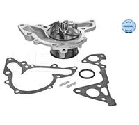 MEYLE Pompa dell'acqua 32-13 097 0007 – Raffreddamento motore per Mitsubishi, Chrysler