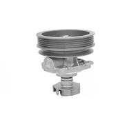Magneti Marelli Pompa dell'acqua 352316170287 – Compatibile con Fiat Tipo 1.4 (1987-1989)