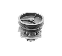 Magneti Marelli 352316170303 Pompa Acqua Fiat, Lancia
