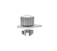 Magneti Marelli Pompa acqua 352316170888 compatibile con Citroën, Peugeot, Rover