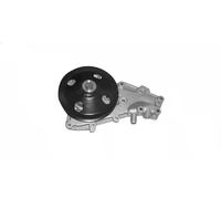 Magneti Marelli Pompa acqua 352316170956 – Raffreddamento motore per Renault