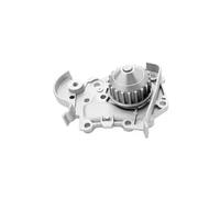 Magneti Marelli Pompa acqua 352316170961 per Renault, Dacia, Peugeot, Citroën