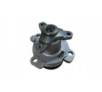 Magneti Marelli Pompa acqua 352316171002 per Renault, Nissan, Opel
