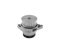 Pompa del refrigerante MAGNETI MARELLI 352316171189