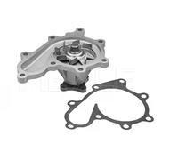 Meyle Pompa acqua 36-13 220 0007 - Raffreddamento motore per Nissan Almera/Tino/X-Trail/Primera