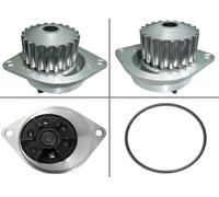 Valeo Pompa acqua 506290 per Citroen Berlingo Xsara Saxo C15 BX AX e Nissan Micra