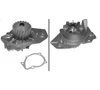 INA 538 0019 10 Pompa acqua