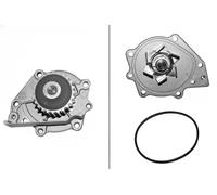 INA Pompa dell'acqua 538 0094 10 – Raffreddamento motore per Rover, Land Rover, MG, Lotus