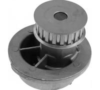 INA 538 0313 10 Pompa acqua