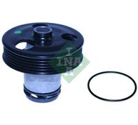 INA 538 0411 10 Pompa acqua per VW GOLF VI (5K1) New Beetle Cabrio (1Y7)