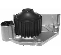 Pompa acqua 538 0485 10 INA per LAND ROVER FREELANDER I Soft Top FREELANDER I