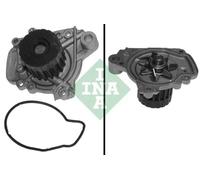 INA 538 0615 10 Pompa acqua